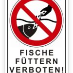 Schild mit der Aufschrift "Fische füttern verboten! Lebensgefahr für Fische", das eine durchgestrichene Hand zeigt, die Futter an einen Fisch gibt.