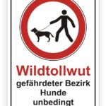 Hinweisschild zum Wildtollwut-Risiko in einem gefährdeten Bezirk, das das Mitführen von Hunden verbietet.