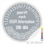 Prüfplakette für Prüfung DGUV Info 208-004 Farbe Grau, Statjahr 26