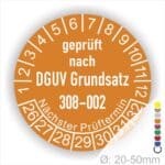 Prüfsiegel zur Prüfung von Hebebühnen nach DGUV Grundsatz 308-002 Starjahr- 26, Farbe- Orange
