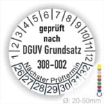Prüfplakette zur Prüfung von Hebebühnen nach DGUV Grundsatz 308-002 Starjahr- 26, Farbe- Weiß